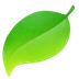 Coda icon