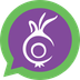 Conion icon