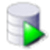 Oracle SQL Developer icon
