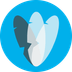 Pingendo icon