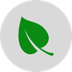 SchoolCourse icon