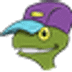 Turtle Sport icon