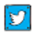 Twitter Follower icon