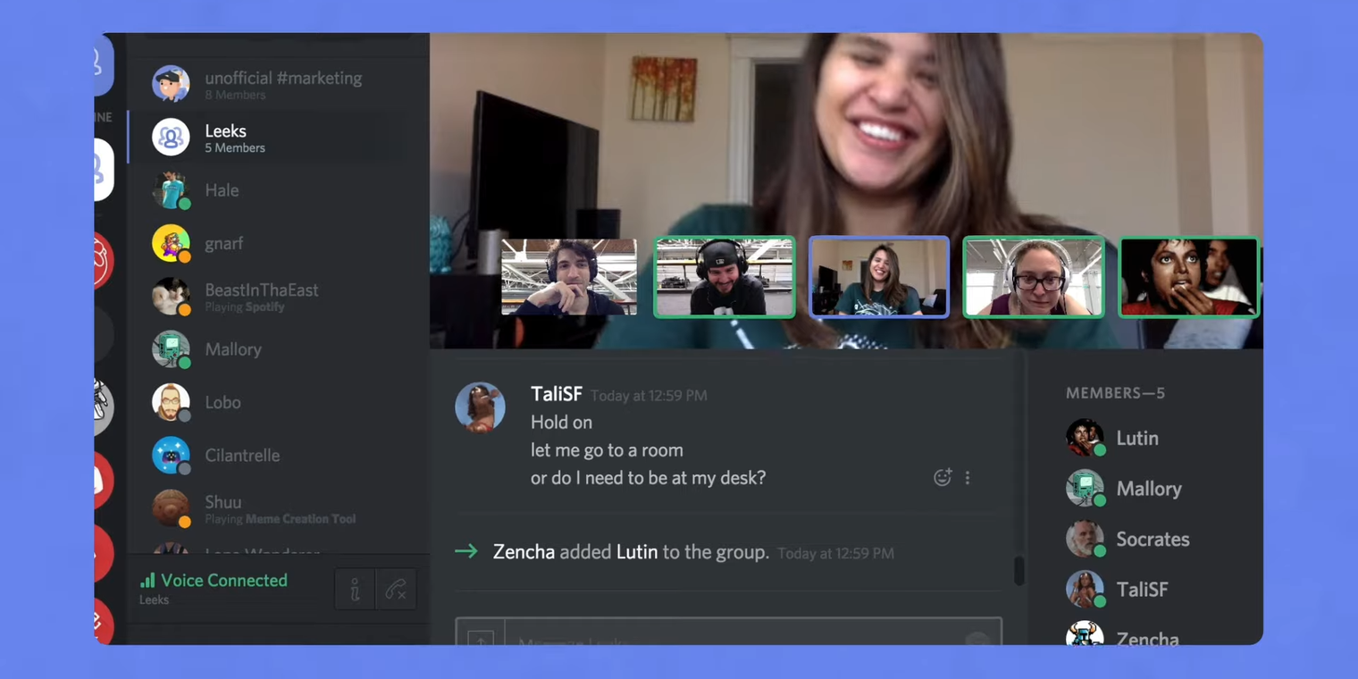 Screenshot of a Discord Video Chat