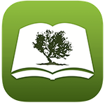 Bible by the olive tree icon