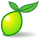 Small LimeSurvey icon