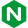 Small nginx icon