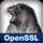 Small OpenSSL icon