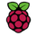 Small Raspberry Pi icon
