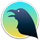 Small Raven Reader icon