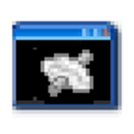 Bitvise SSH client icon