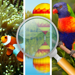 Word connection icon