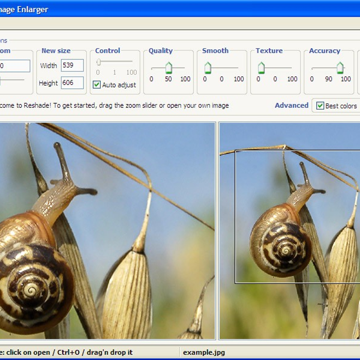 Smillaenlarger Smillaenlarger