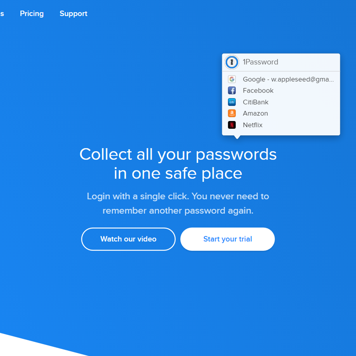 1password 1password