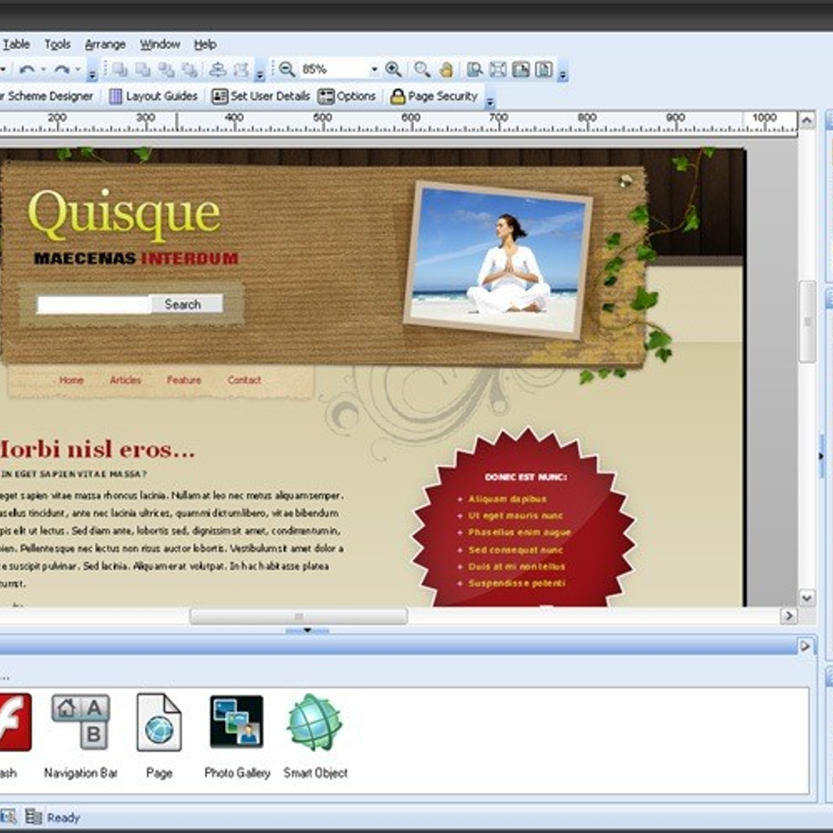 Serif WebPlus Alternatives and Similar Software