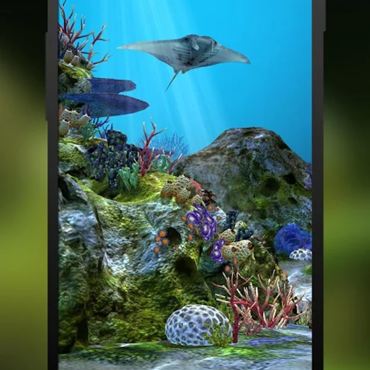3d Aquarium Wallpaper For Iphone Image Num 51