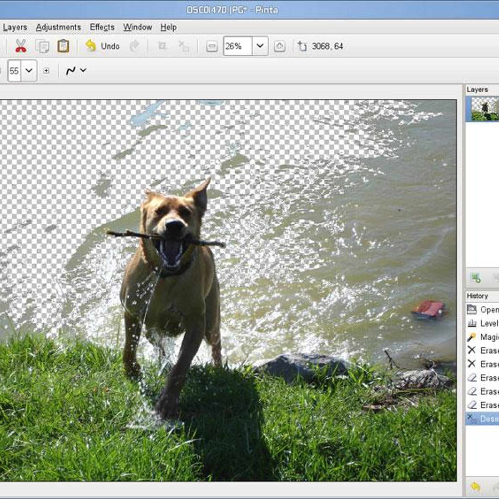 Pinta photo editor for windows Pinta photo editor for windows