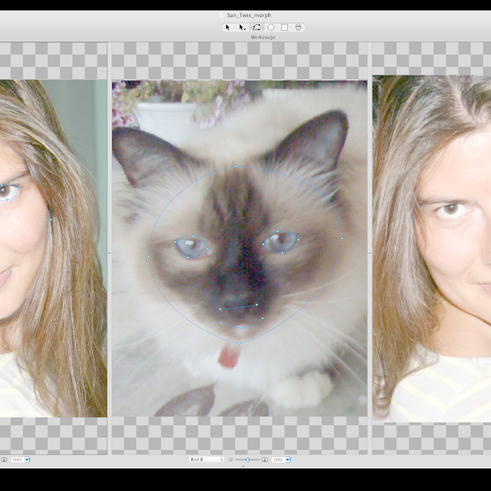 Photo morphing software for mac computer