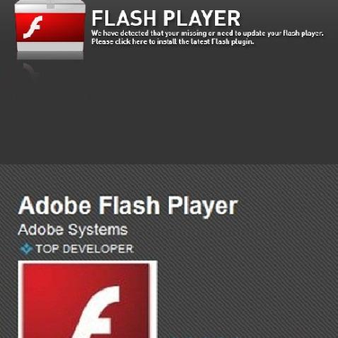 flash installer full