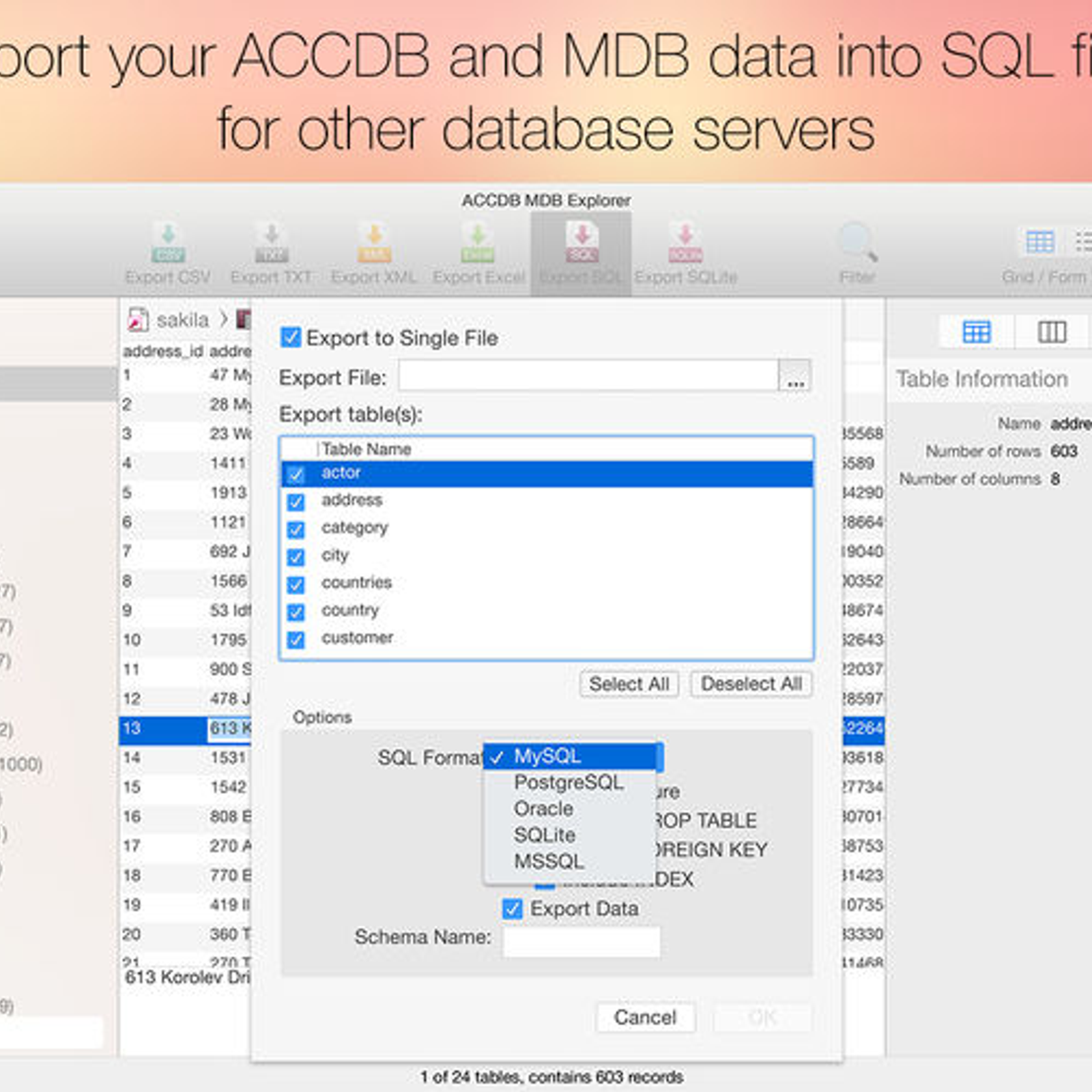 Accdb Mdb Explorer Accdb Mdb Explorer