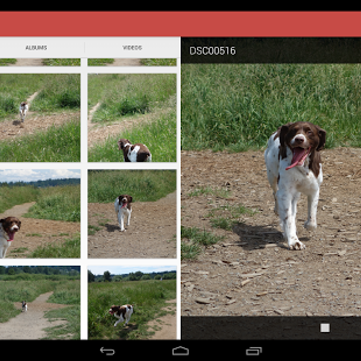 Allcast download for macbook Allcast download for macbook