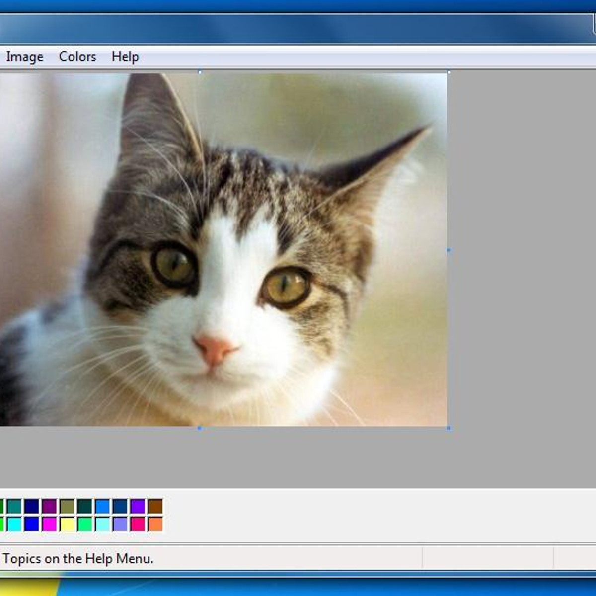 Старый паинт