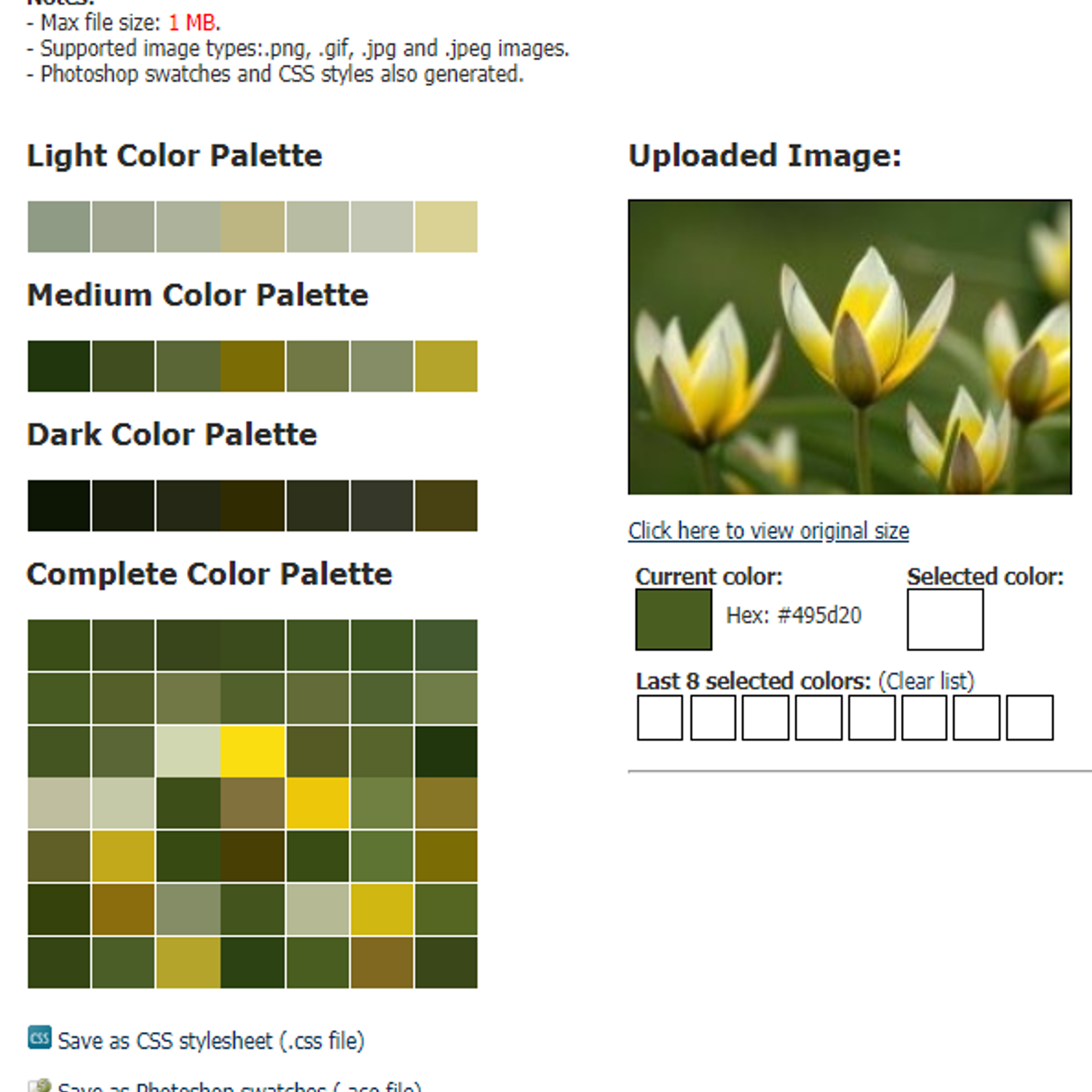 Css Drive S Image To Colors Palette Generator Alternatives And