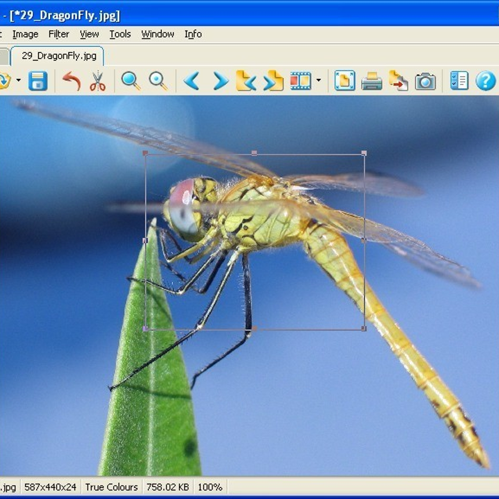 برنامج إستعراض الصور على الكمبيوتر XnView 2.43 E29e1ec5-9100-4c1f-9602-71abc990e353_1_full
