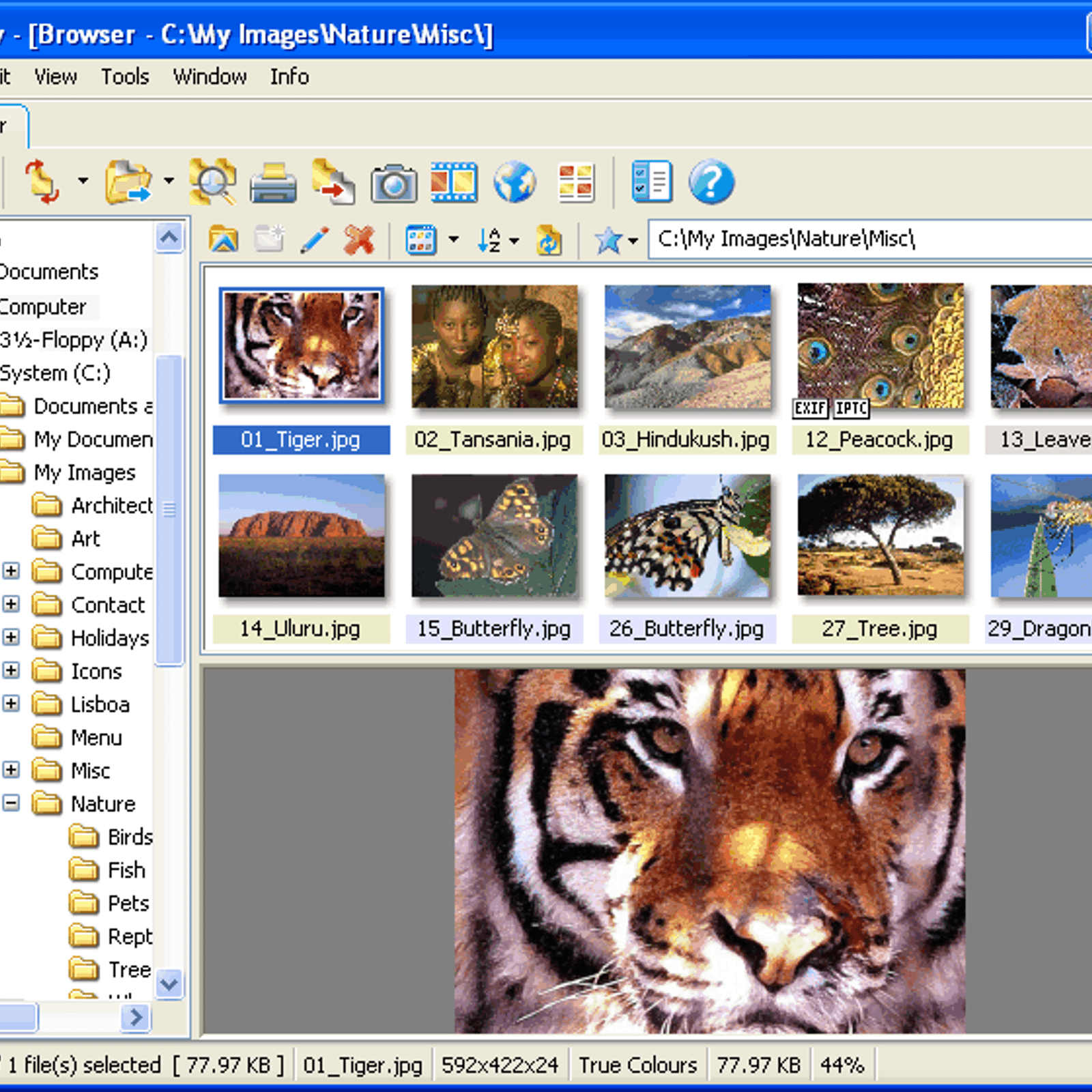 برنامج إستعراض الصور على الكمبيوتر XnView 2.45 E29e1ec5-9100-4c1f-9602-71abc990e353_2_full