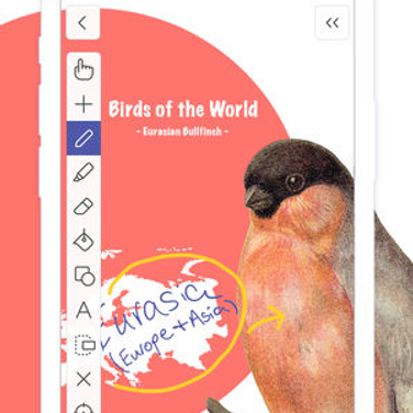 Explain Everything Auf Mac Explain Everything Auf Mac