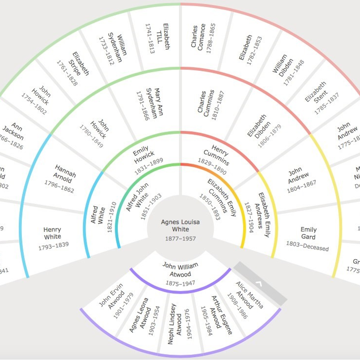 Alternatives and Similar Software