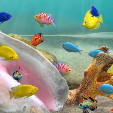 Fish Farm 3 3d Aquarium Live Wallpaper Alternatives And Similar Apps Alternativeto Net