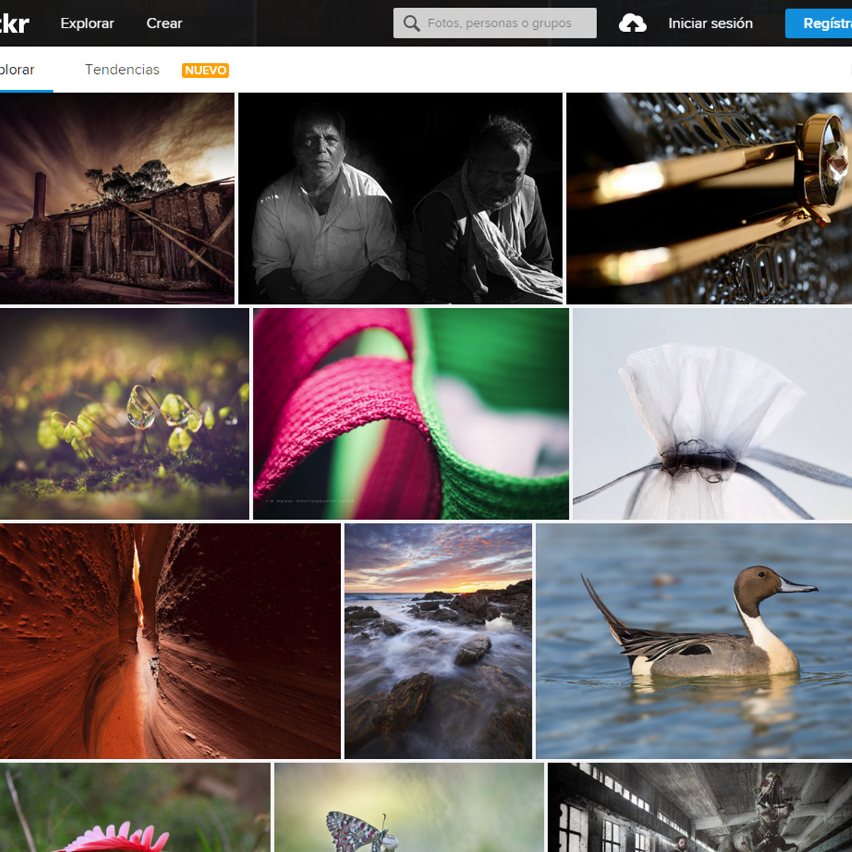 The best Flickr photo downloader