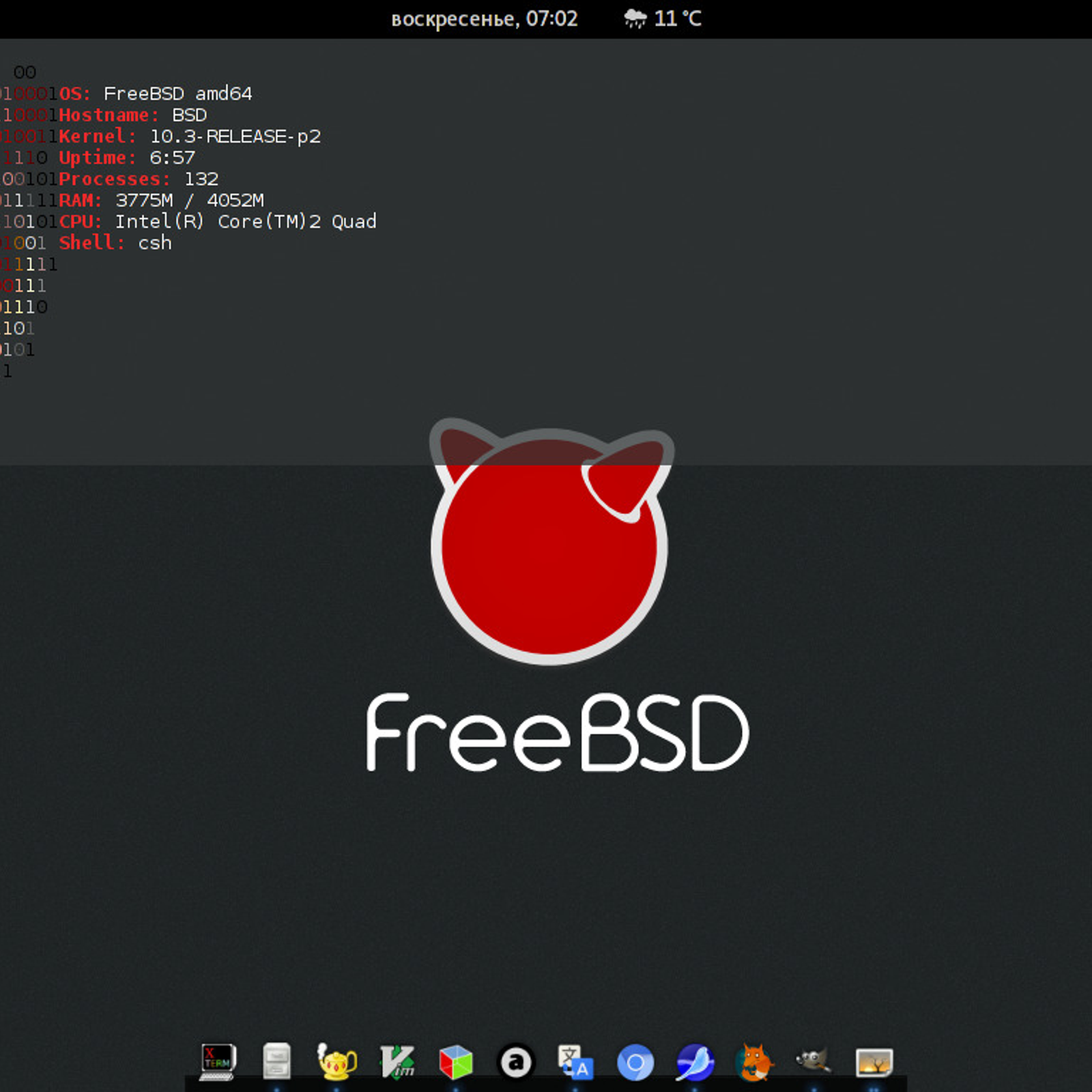 freebsd_481133_full.png