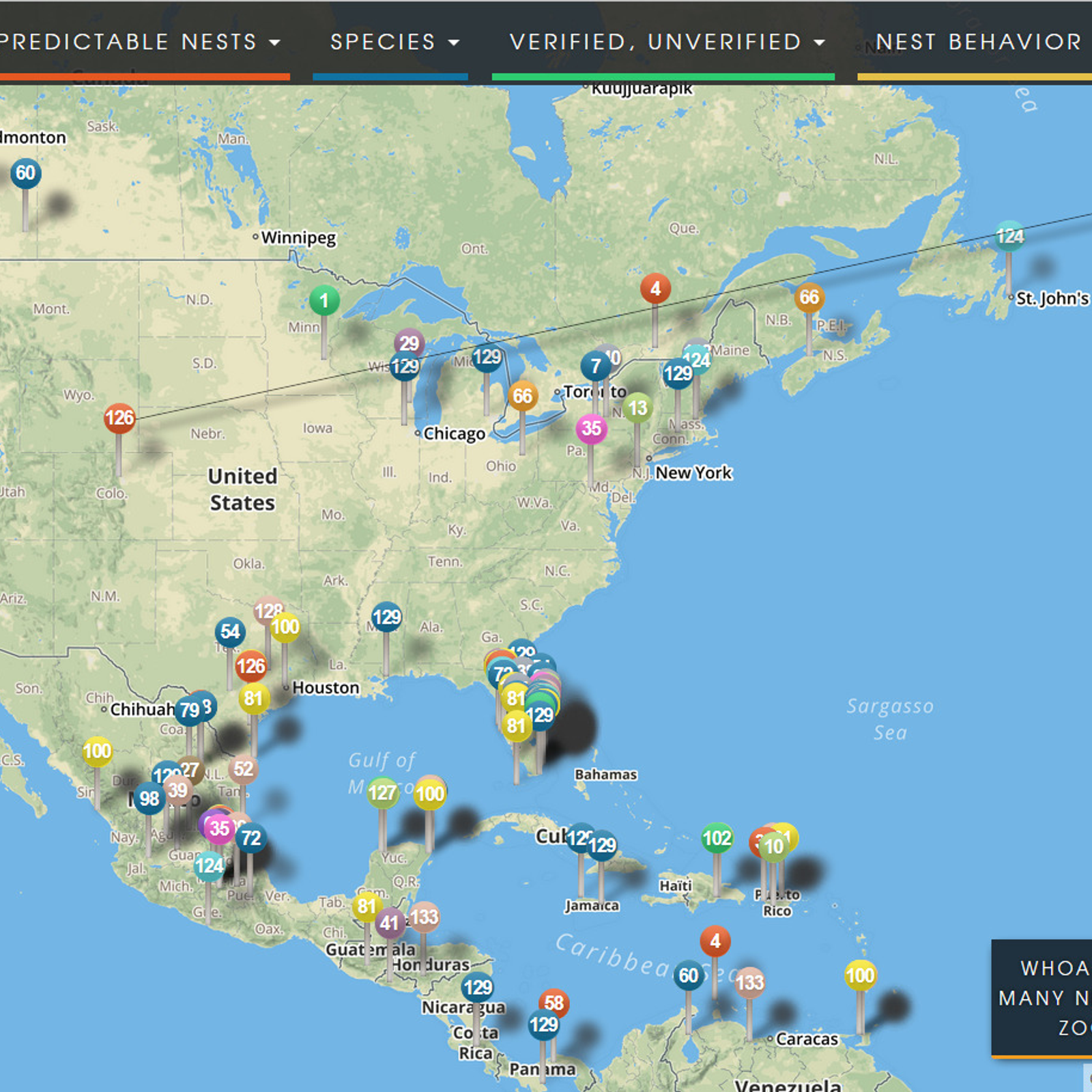 global nest atlas alternatives and similar websites and apps