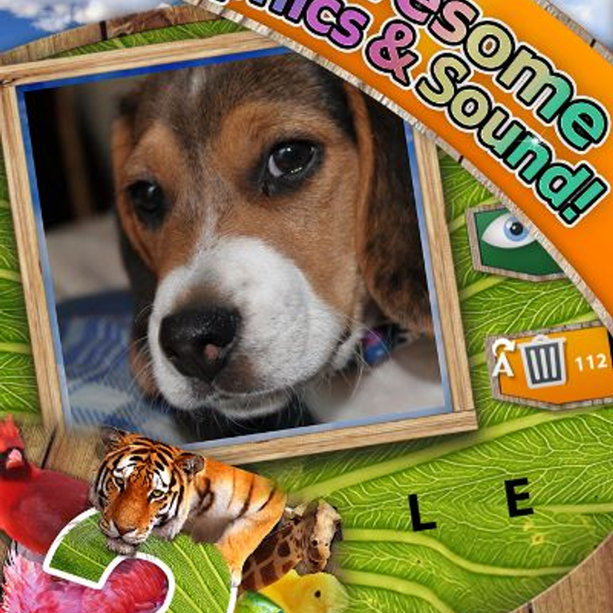 Guess the Animal Alternatives and Similar Apps - AlternativeTo.net