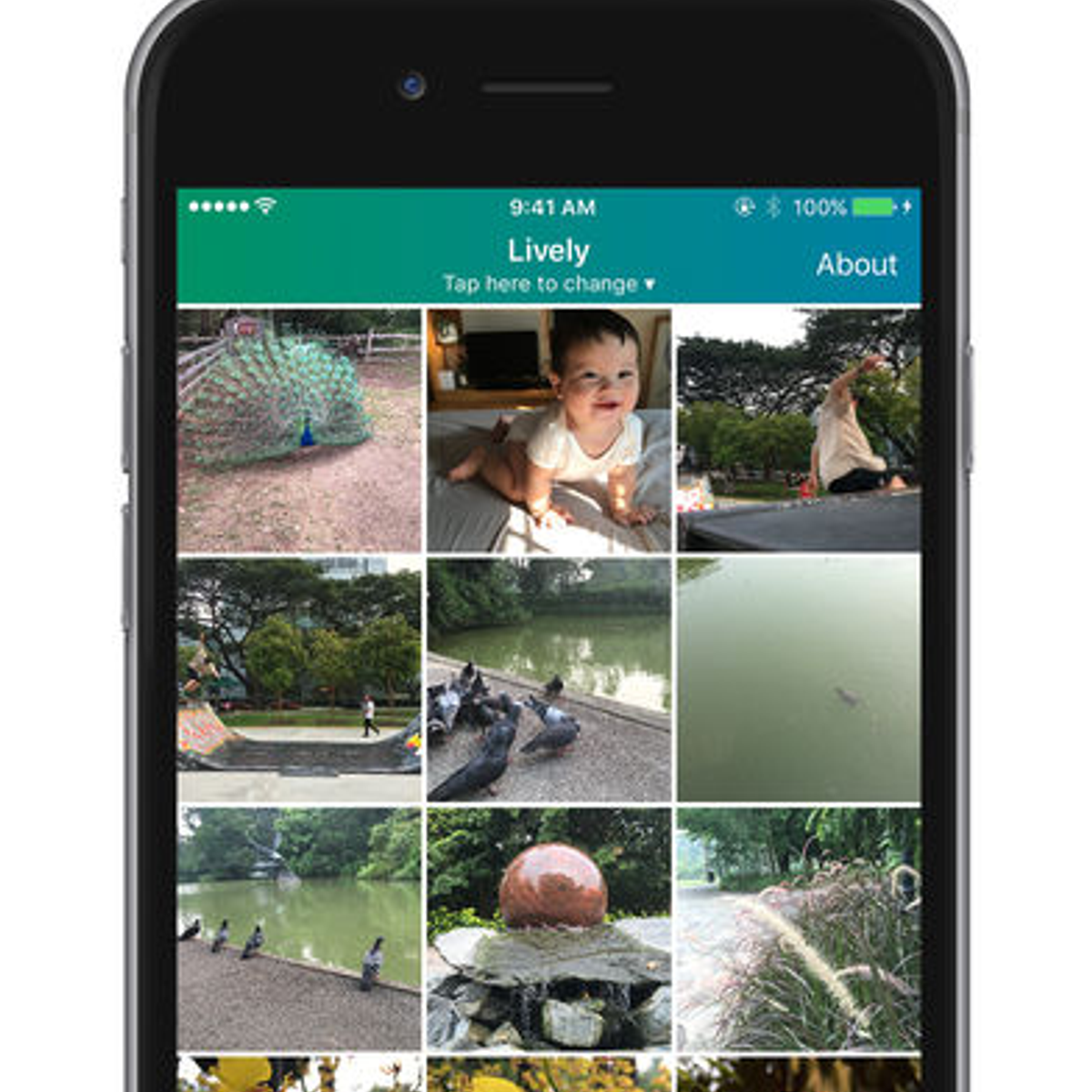 Lively Alternatives and Similar Apps