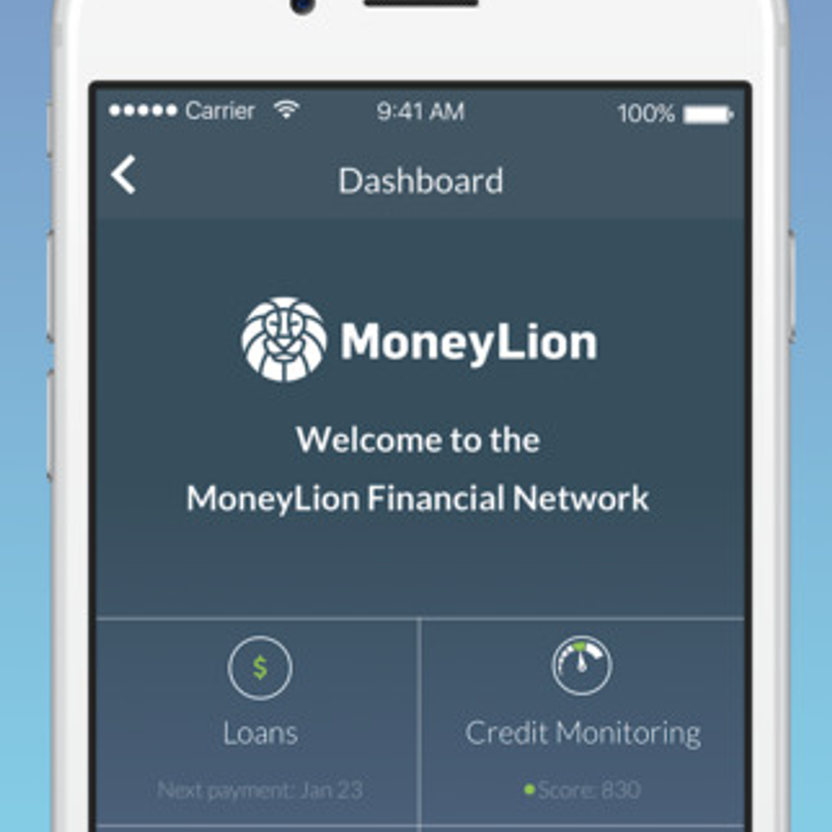 cash advance netspend