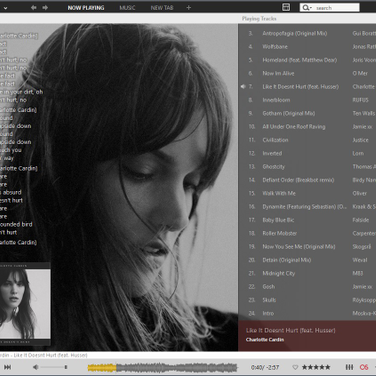 Musicbee Alternatives And Similar Software Alternativeto Net
