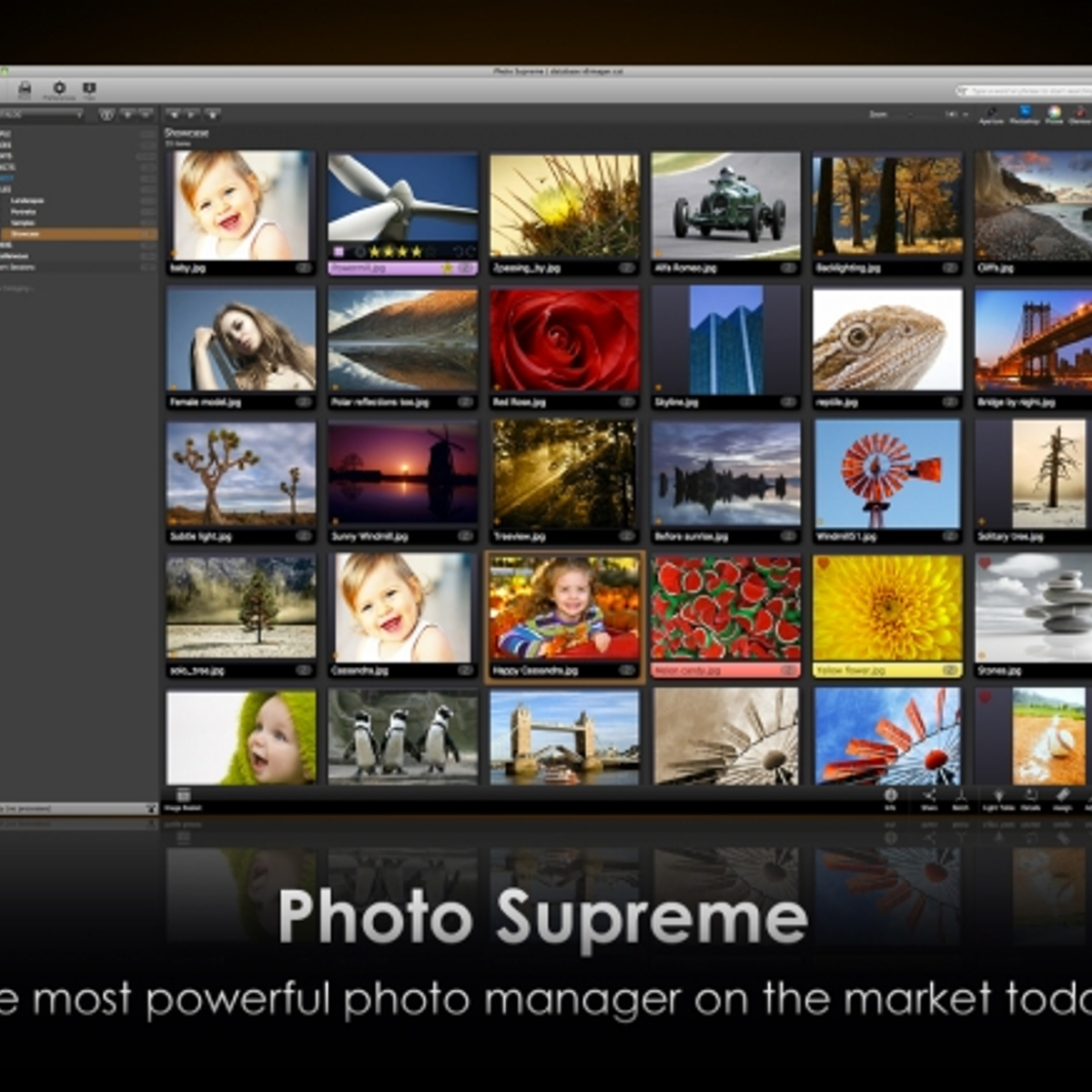 Photo Supreme Alternatives and Similar Software