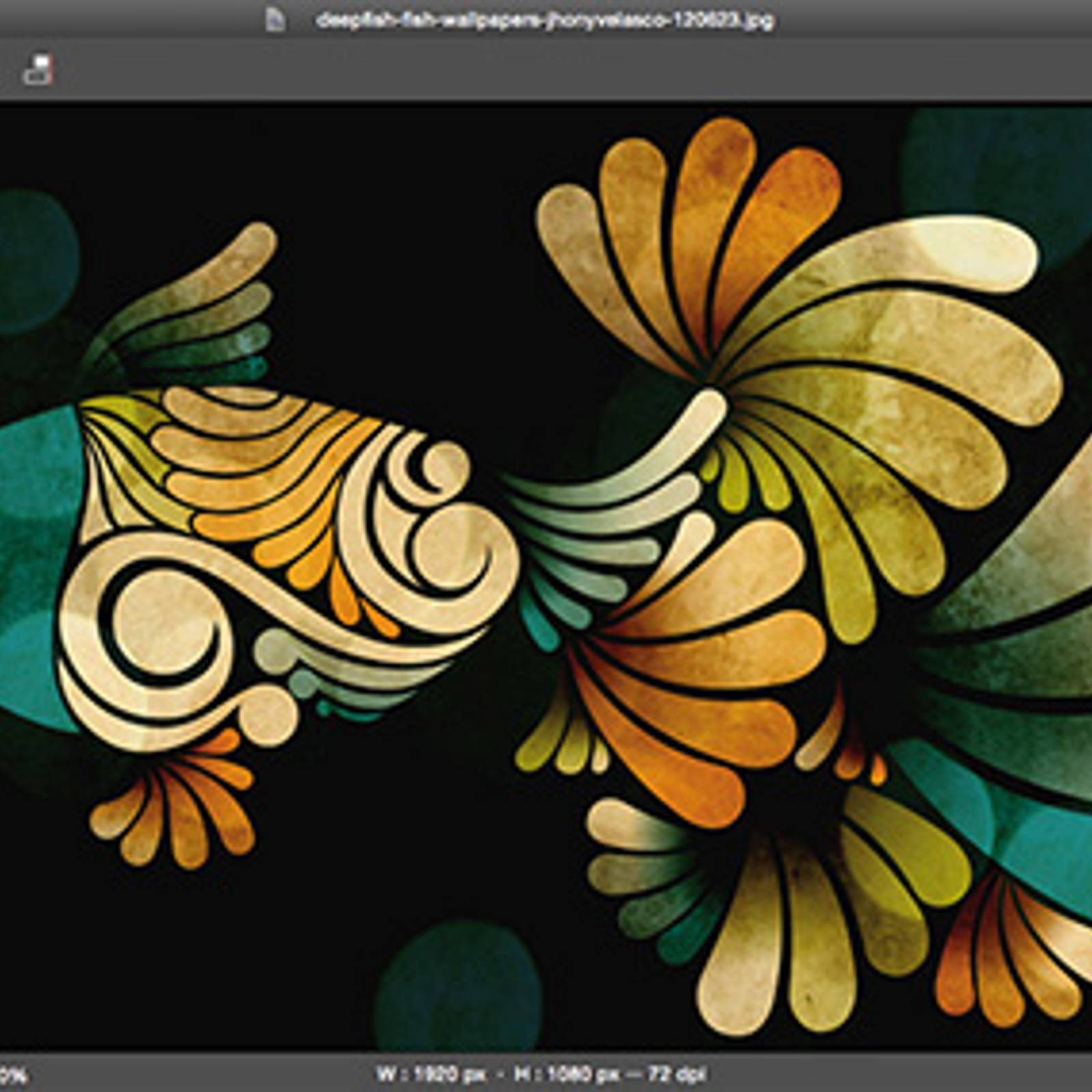 Graphics Editor For Mac Graphics Editor For Mac