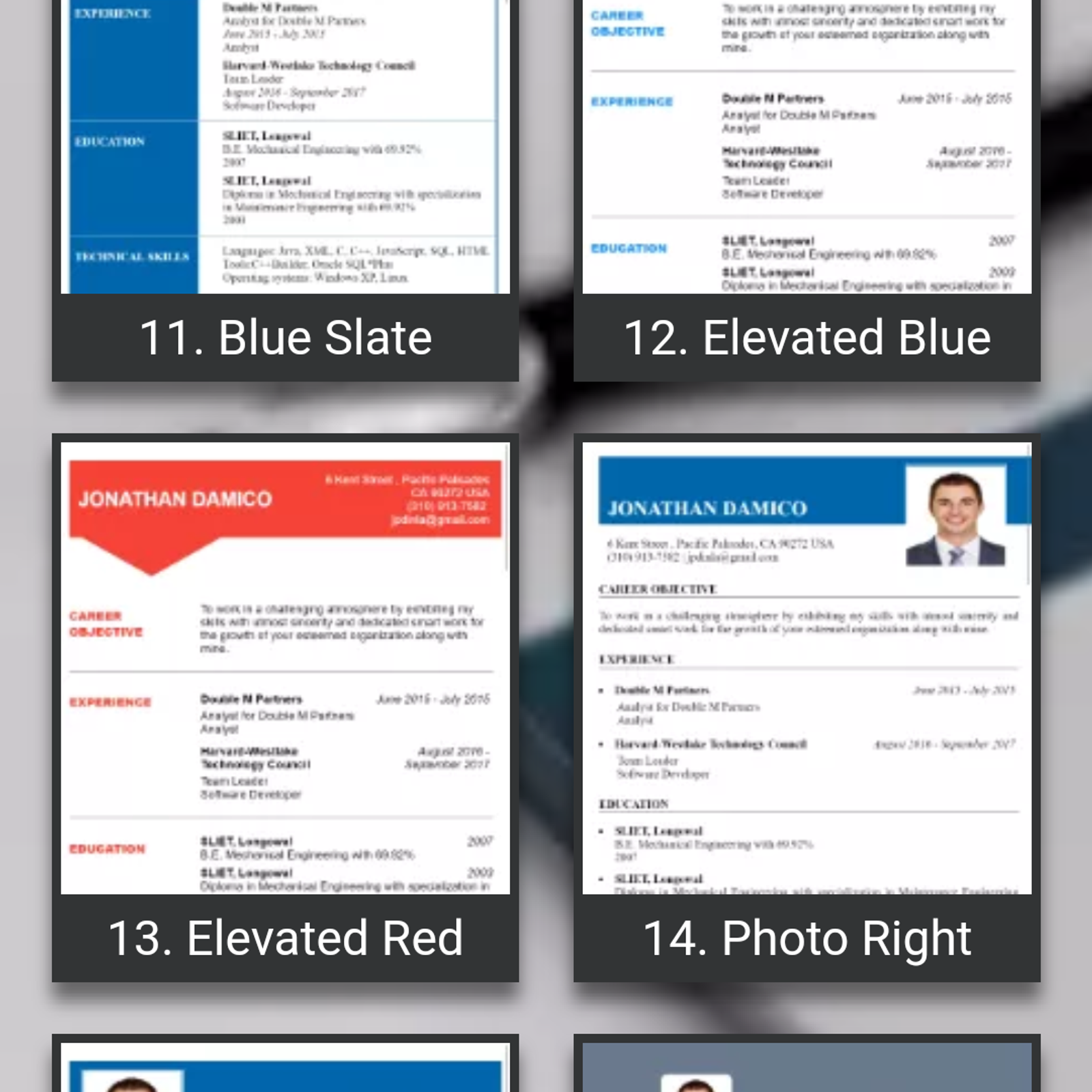 builder cv
