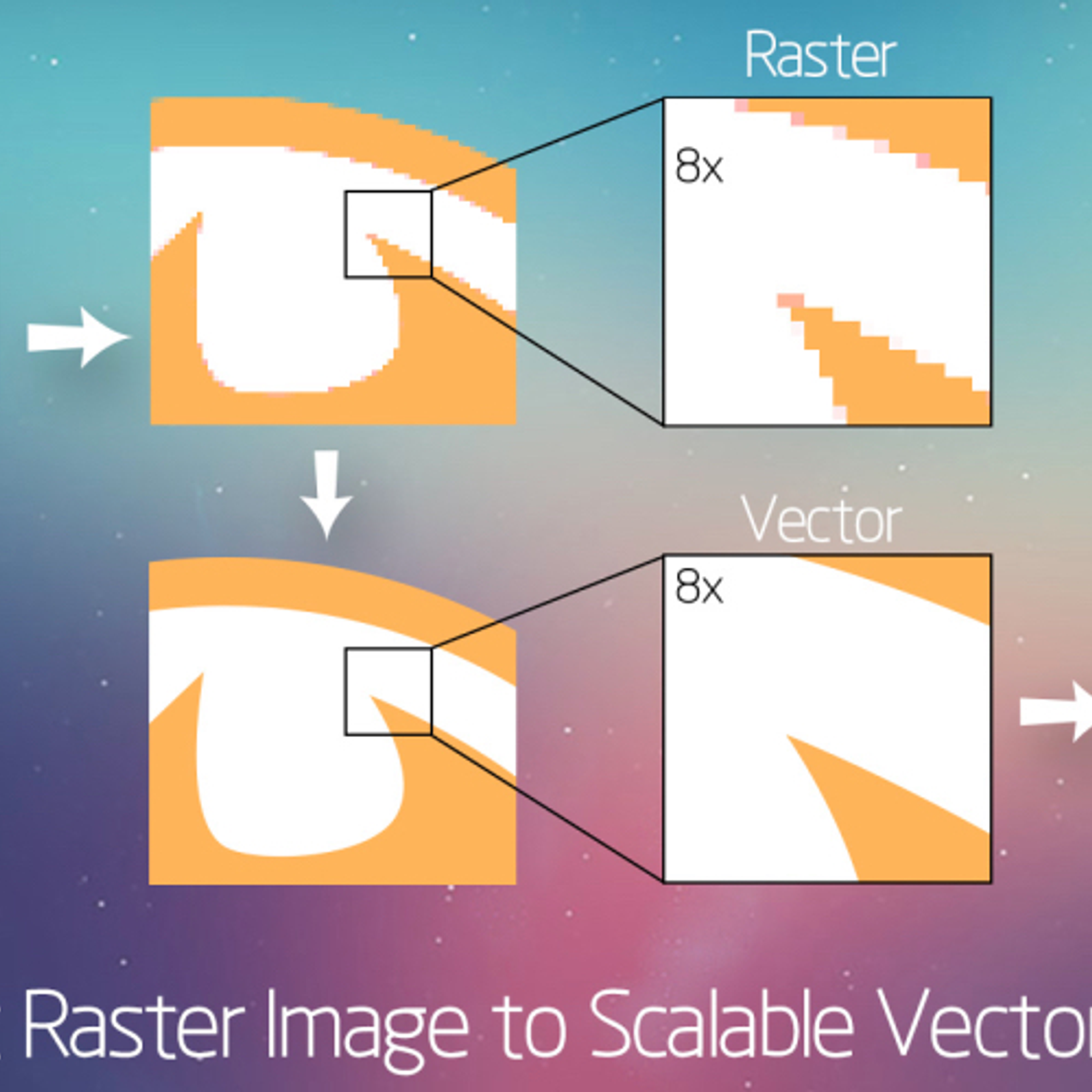 Vectorizer Vectorizer