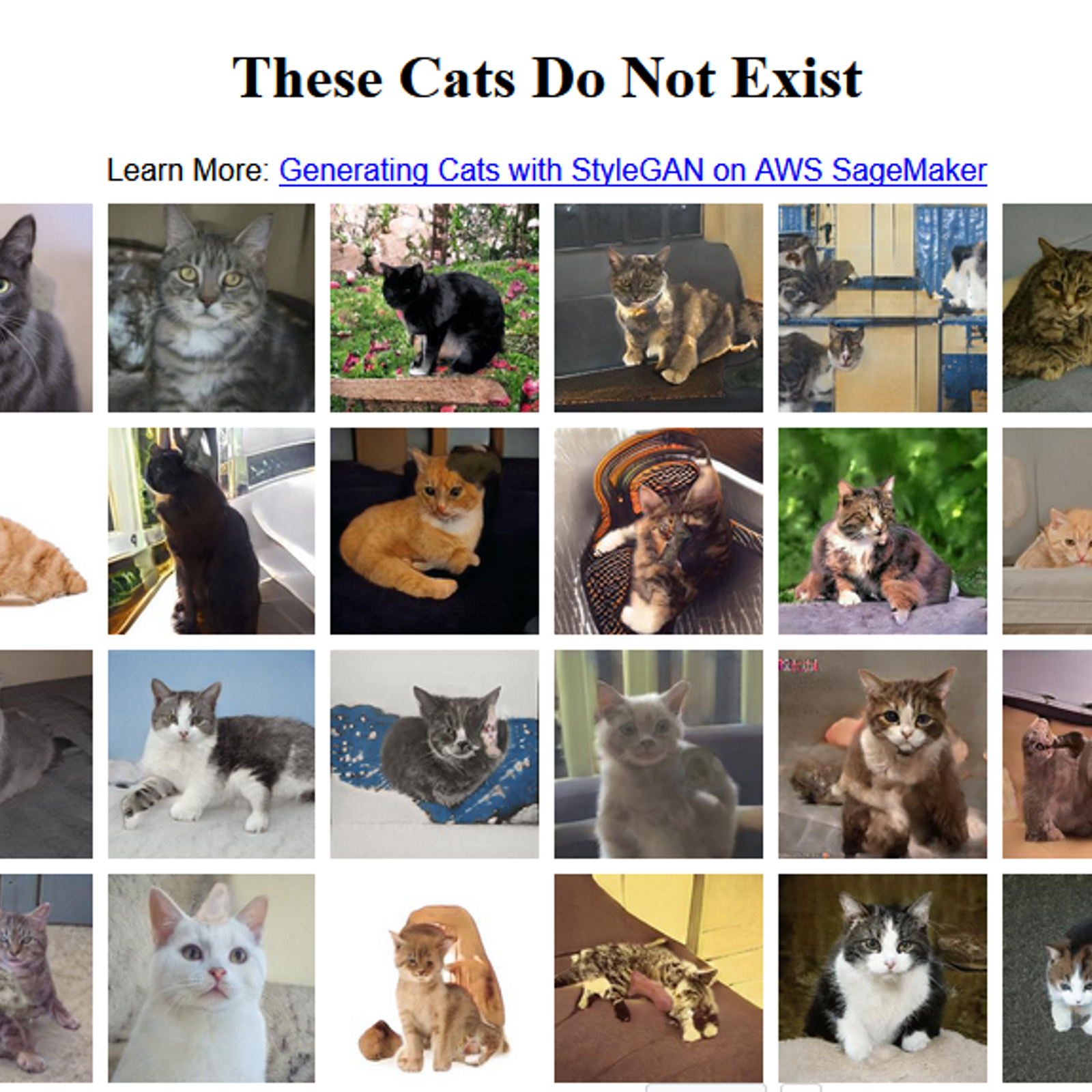 These your cats. This Cat does not exist. Thiscatdoesnotexist. This Cat doesn't exist. These Cats.