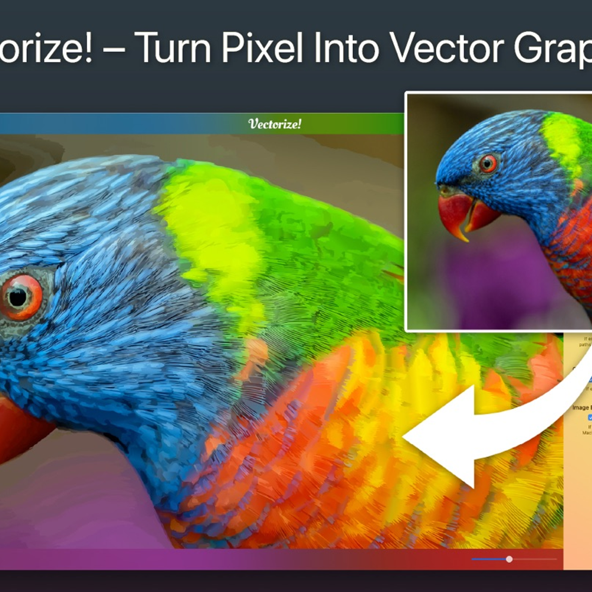 Vectorize! Alternatives and Similar Software - AlternativeTo.net