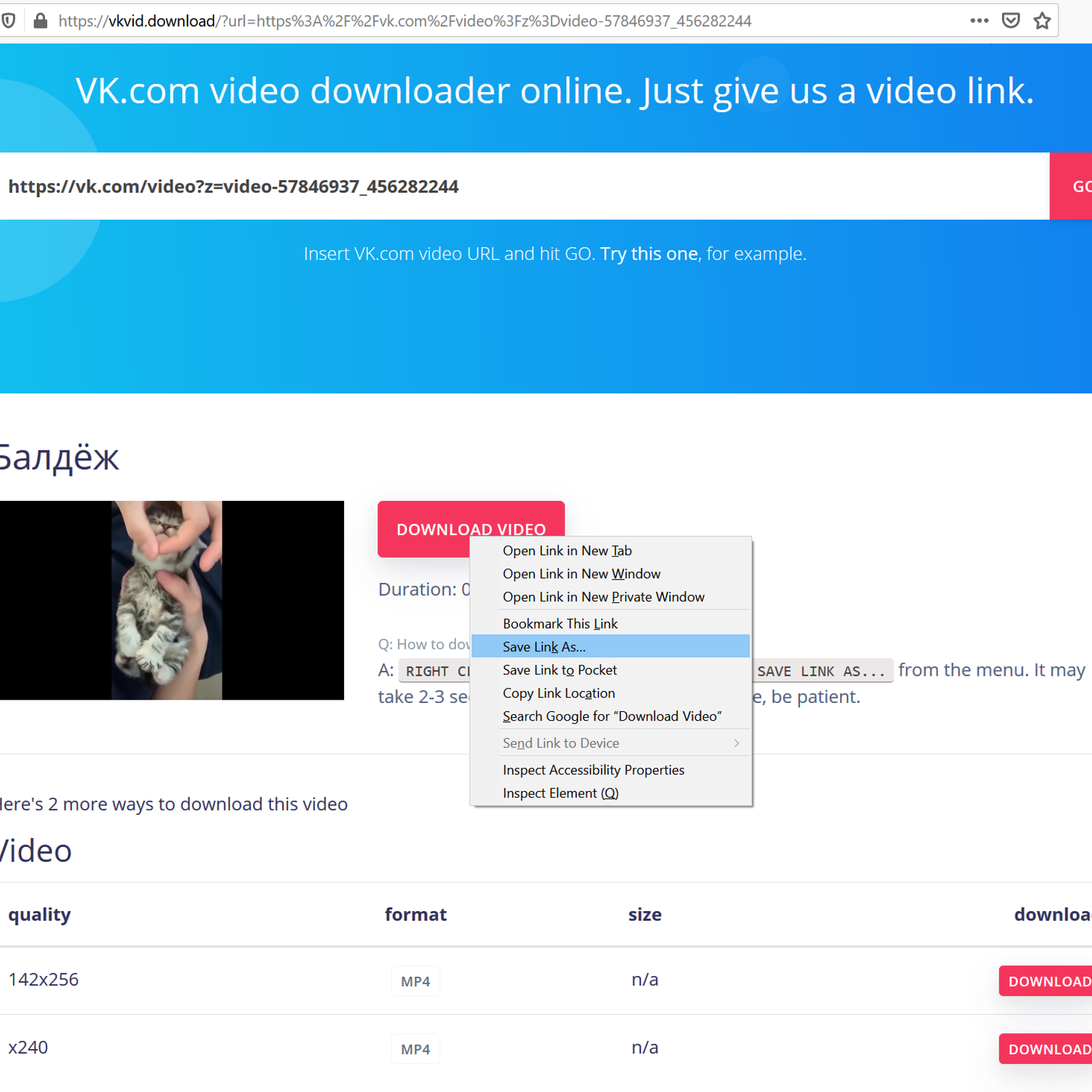 download vk videos online