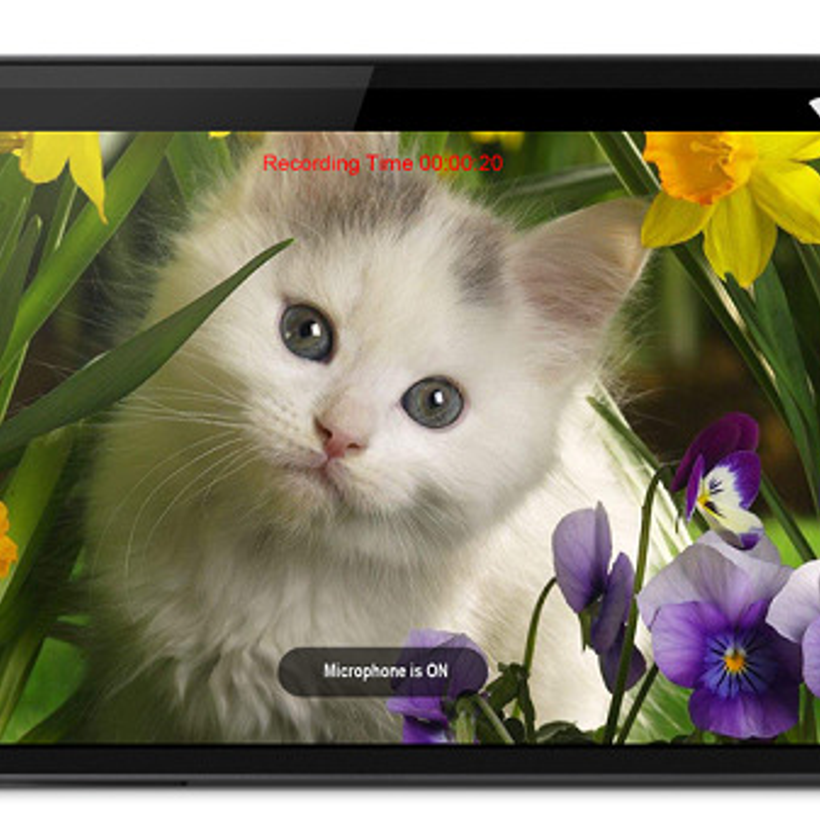 Webeecam Free USB Web Camera Alternatives and Similar Apps Webeecam Free USB Web Camera Alternatives and Similar Apps