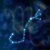 webplus