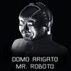 mrroboto22322