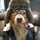 Tim_B